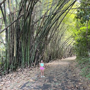 Jardin Botanico - Botanical Gardens Near Me - San Juan, Puerto Rico Jardin Botanico - Botanical Gardens Near Me - San Juan, Puerto Rico