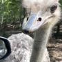 Photo of Briarwood Ranch Safari Park
