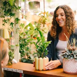 Understory Plant Shop