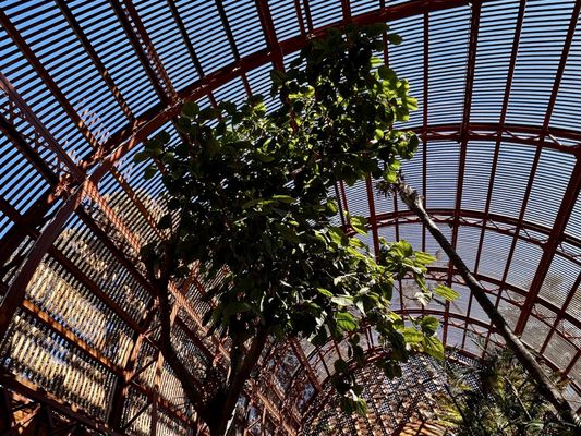 Botanical Building by null