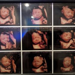 Baby Bump Studios - Love the different options you have to add to your package.