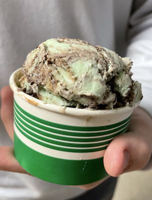 MSU Dairy Store by null