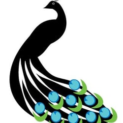 Peacock Pool Services