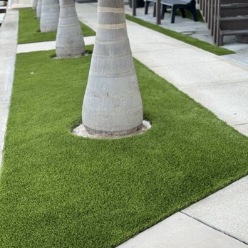 Tough Turf Fields & Lawns - Artificial Turf Near Me - Bradenton, Florida Tough Turf Fields & Lawns - Artificial Turf Near Me - Bradenton, Florida