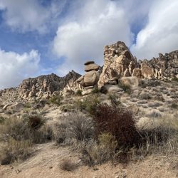Christmas Tree Pass - 11/17/2025