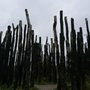 Photo of Naturcenter Amager