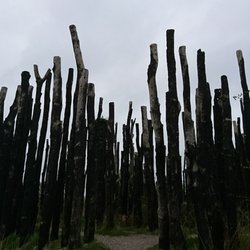 Naturcenter Amager - 400 charred logs with holes in them and a stone circle in the middle.