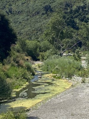 Peter Strauss Ranch by null