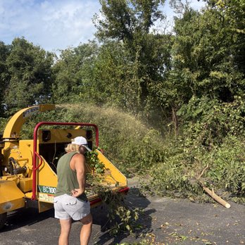 Devine’s tree service - Tree Services Near Me Devine’s tree service - Tree Services Near Me