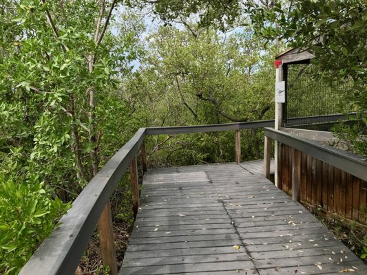 Wild Bird Sanctuary - Florida Keys Wild Bird Center by null