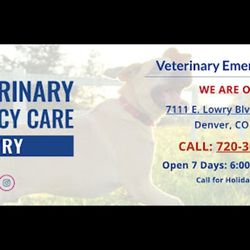 Wheat Ridge Animal Hospital