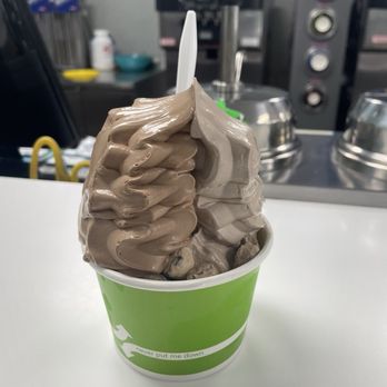 D'lites Emporium - Medium Cup - Regular Bavarian chocolate and Oreo - Ice Cream & Frozen Yogurt Near Me - Tampa, Florida