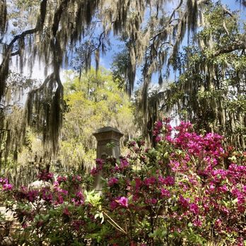 Bonaventure Cemetery - Flowers and moss - Funeral Services & Cemeteries Near Me - Savannah, Georgia Bonaventure Cemetery - Flowers and moss - Funeral Services & Cemeteries Near Me - Savannah, Georgia
