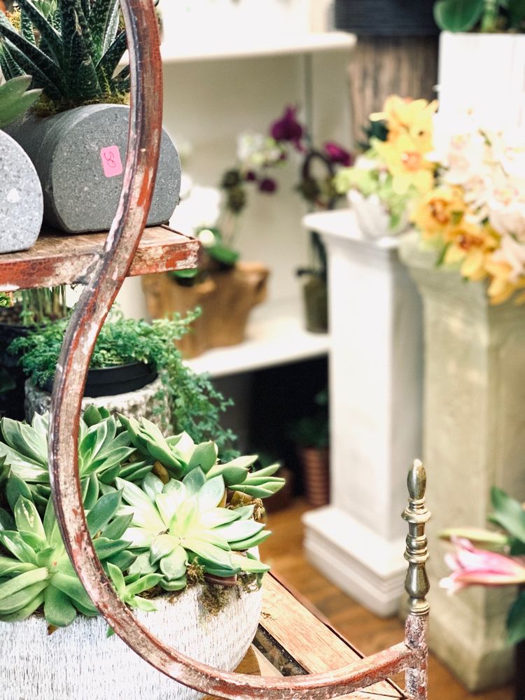 THE SCARSDALE VILLAGE FLOWER SHOP Updated August 2024 19 Photos & 22 Reviews 7 Hardwood Ct