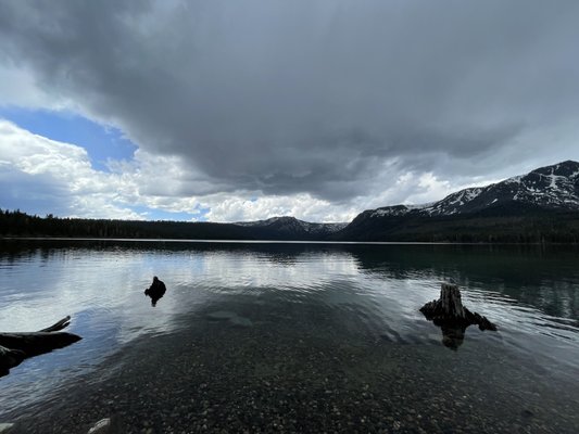 Fallen Leaf Campground by null