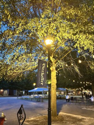 Bierkeller Brewing Company by null