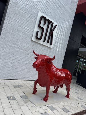 STK Aventura by null
