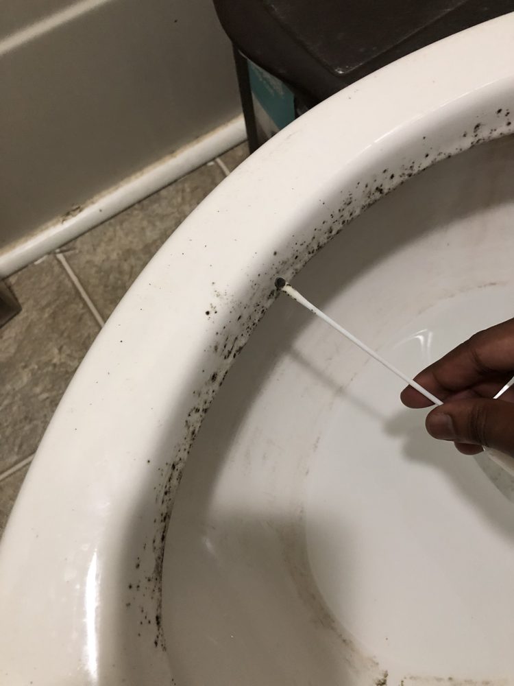 Tailored Mold Inspections - mold inspector in Jersey City, NJ