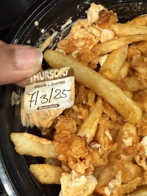 Blazing Bird (Westminster) by null