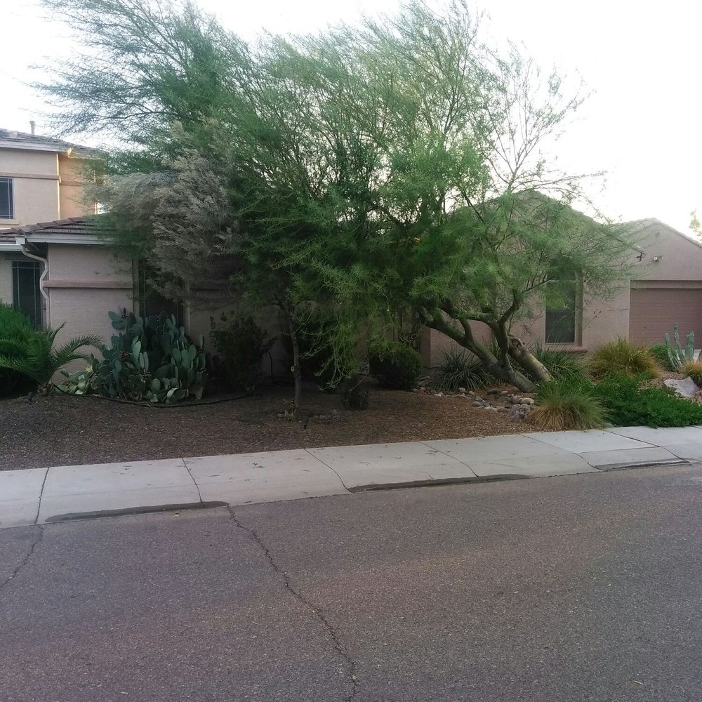J-Rock Tree Service - Tree Services Near Me J-Rock Tree Service - Tree Services Near Me