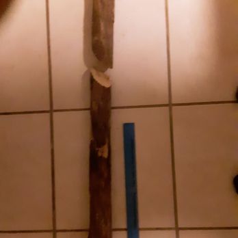 Pedro's Auto Repair - This stick about 2 1/2 ft was lodged between my wheel and the inside of my bumper and hindered my steering. - Auto Repair Near Me - Tallahassee, Florida