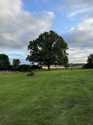 Mallory Court Country House Hotel & Spa by null