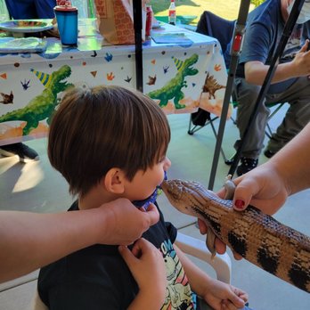 Kids Reptile Parties - Party & Event Planning Near Me Kids Reptile Parties - Party & Event Planning Near Me