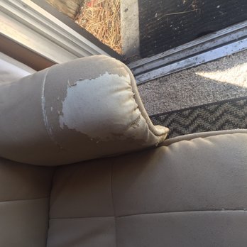 Grey Squirrel Resort & Vacation Rental Homes - Dog chewed up the chair - Big Bear Lake, CA
