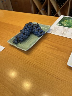 Glen Manor Vineyards by null