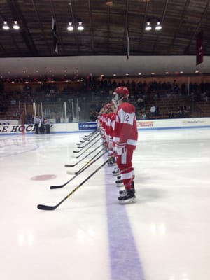 Ingalls Ice Rink by null