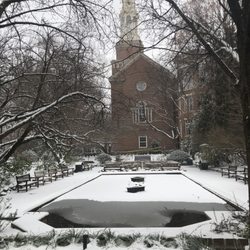 CUNY Brooklyn College - Snow covered lily pond