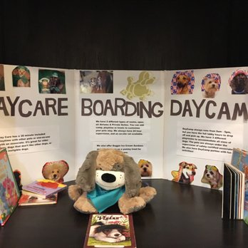 PetSmart - My pup is featured in the right section, bottom left with the sombrero! Haha! :) - Pet Stores Near Me - Louisville, Kentucky PetSmart - My pup is featured in the right section, bottom left with the sombrero! Haha! :) - Pet Stores Near Me - Louisville, Kentucky