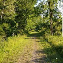 Polly Ann Trail - Almost nobody to be found on the Polly Ann Trail in Lapeer County.