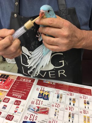 Carol's Pet Center by null