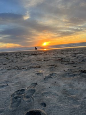 Black's Beach by null