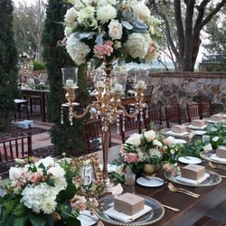 Peddles - Bella Collina wedding