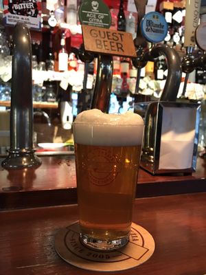 Il Santo Bevitore craft pub by null