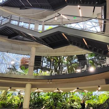 Amazon Spheres - Botanical Gardens Near Me - Seattle, Washington