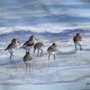 Photo of Jayne Spencer Watercolors