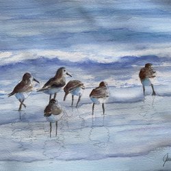 Jayne Spencer Watercolors - Twilight