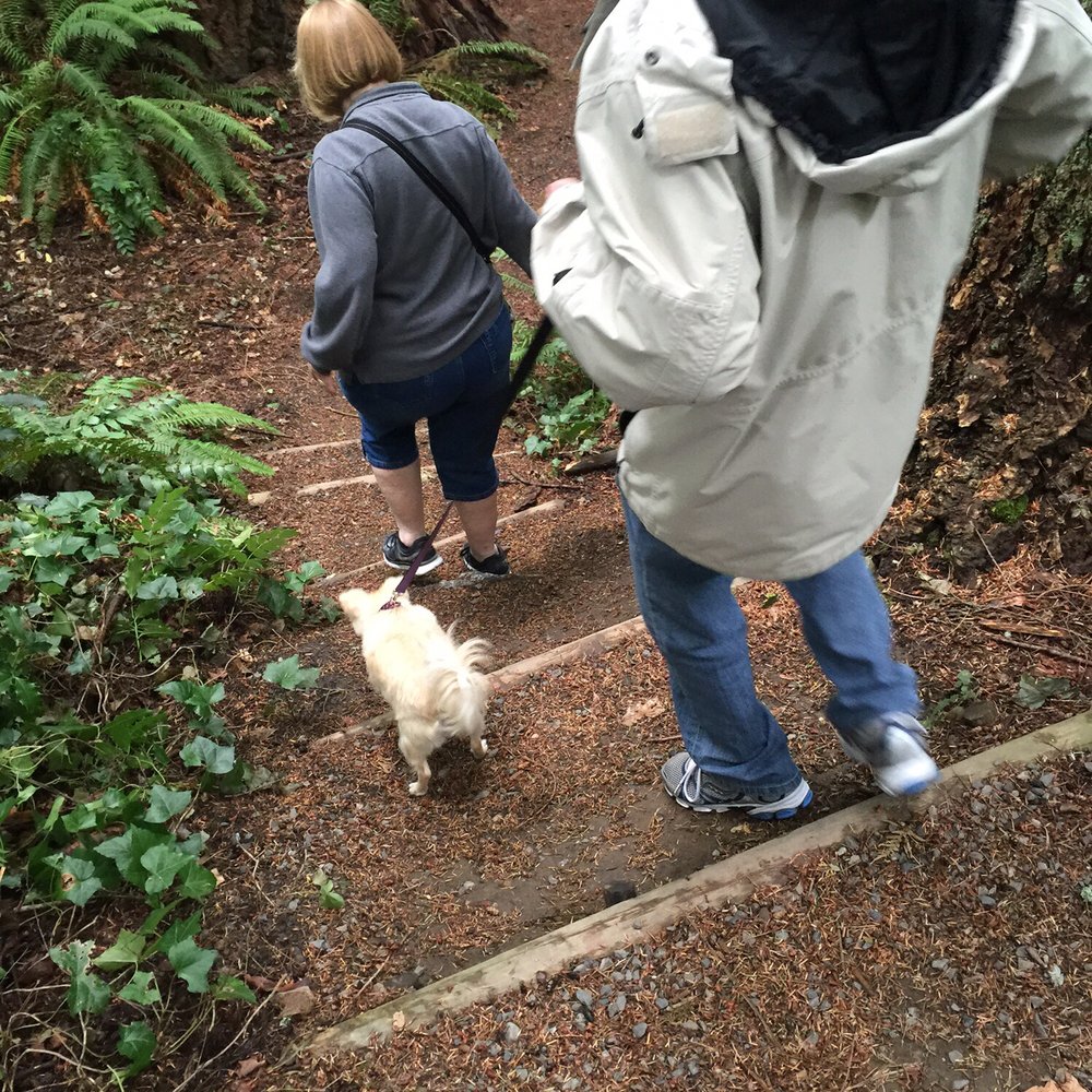 Forest Park - Even the family chihuahua had a good time! - Parks Near Me - Everett, Washington Forest Park - Even the family chihuahua had a good time! - Parks Near Me - Everett, Washington
