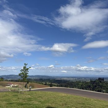 The Four Graces Winery - Wine Tasting Room Near Me - Dundee, Oregon