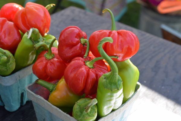 Blythewood Farmers Market by null