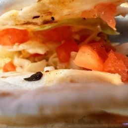 Shrimp Tacos