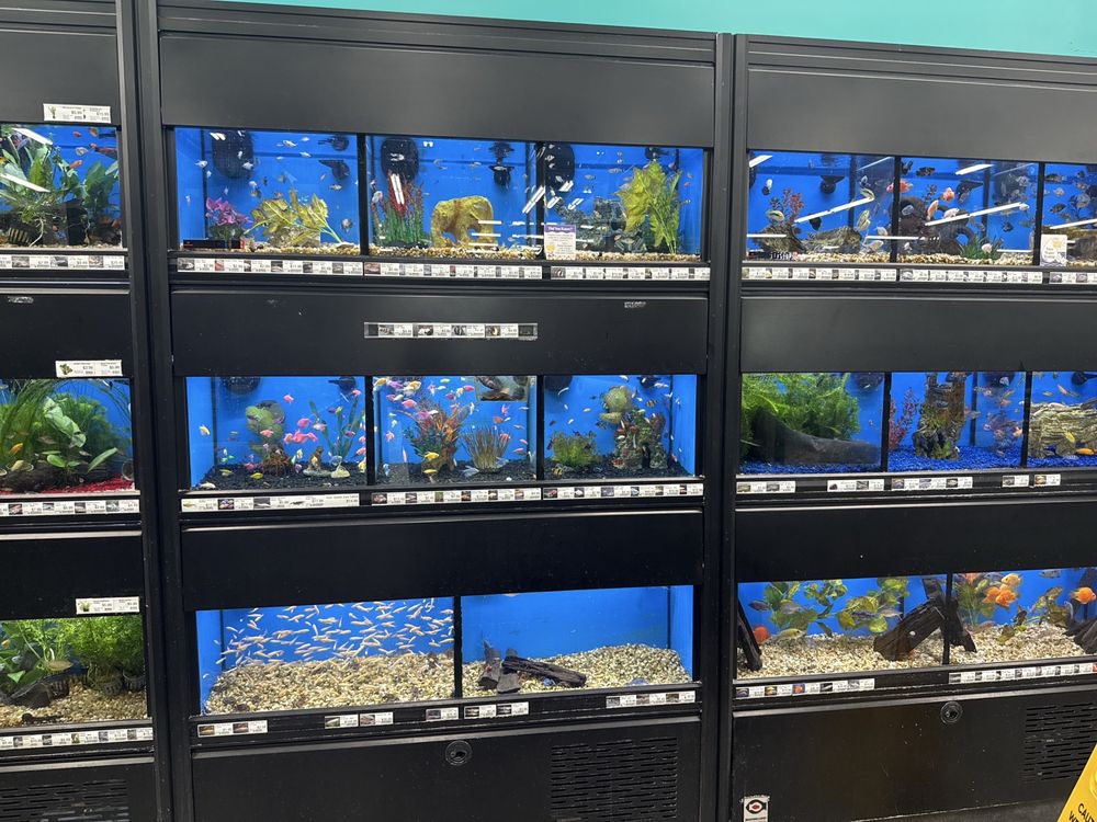 Pet Supermarket Image