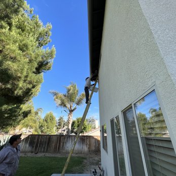 AA-Beekeeper - Ladder? I don't even know her!  (sorry) - Pest Control Near Me