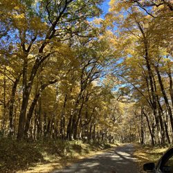 Wild Cat Den State Park