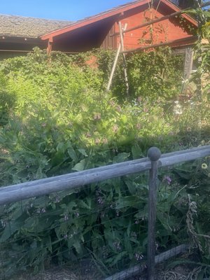 Moonwater Farm by null