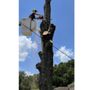 Photo of Amerson Tree Care