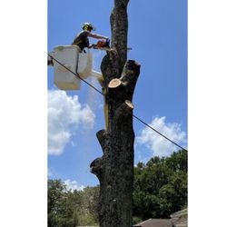 Amerson Tree Care